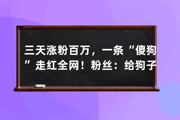 三天涨粉百万，一条“傻狗”走红全网！粉丝：给狗子配副眼镜吧 