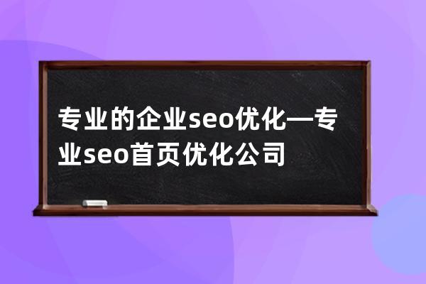 专业的企业seo优化—专业seo首页优化公司