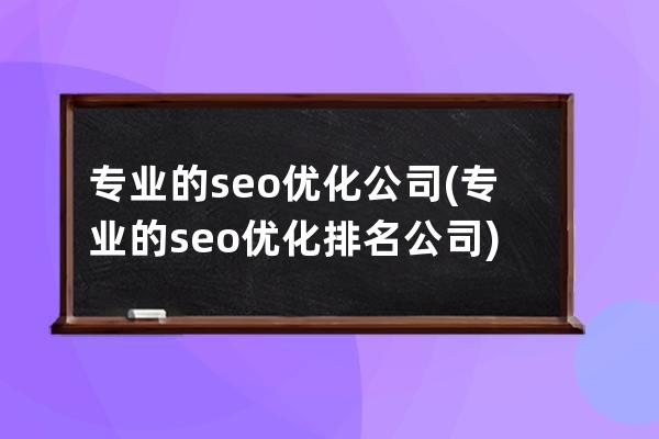 专业的seo优化公司(专业的seo优化排名公司)