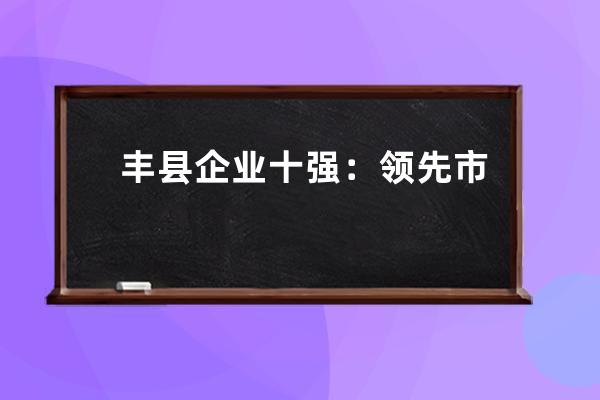 丰县企业十强：领先市场的SEO优化企业解析