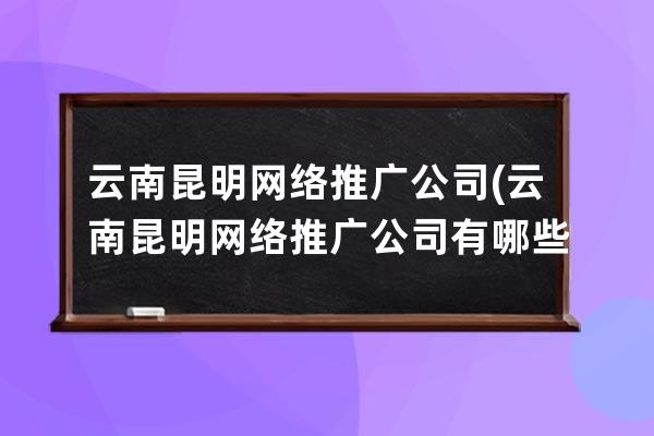 云南昆明网络推广公司(云南昆明网络推广公司有哪些)