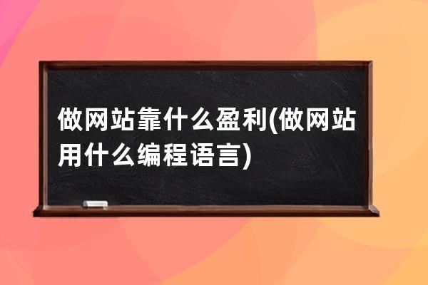 做网站靠什么盈利(做网站用什么编程语言)