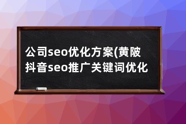 公司seo优化方案(黄陂抖音seo推广关键词优化方案)