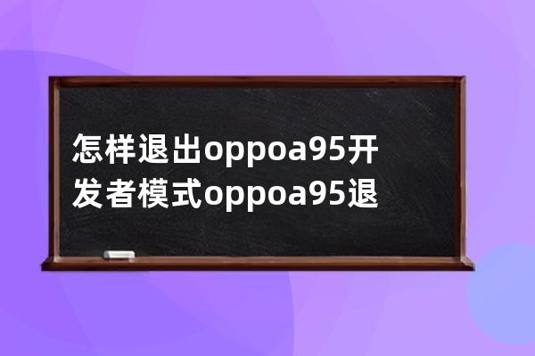 怎样退出oppoa95开发者模式?oppoa95退出开发者模式教程 