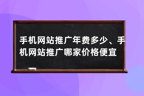 手机网站推广年费多少、手机网站推广哪家价格便宜