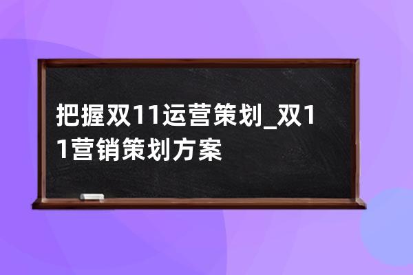 把握双11运营策划_双11营销策划方案 