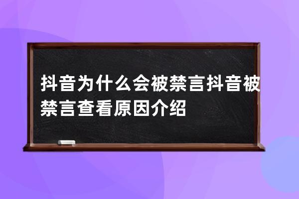 抖音为什么会被禁言抖音被禁言查看原因介绍 