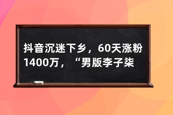 抖音沉迷下乡，60天涨粉1400万，“男版李子柒”张同学能火多久_抖音乡愁和李 