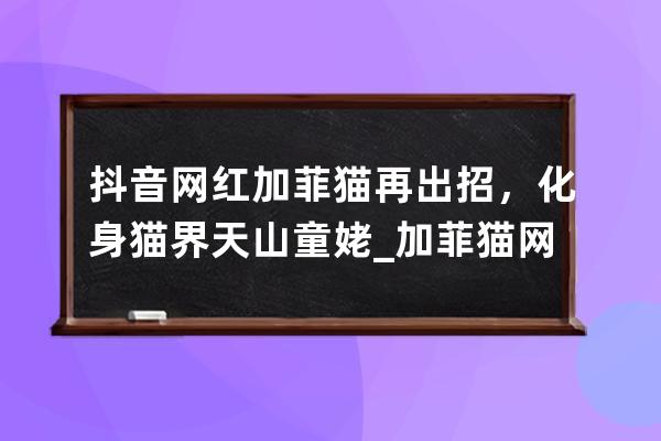 抖音网红加菲猫再出招，化身猫界天山童姥_加菲猫 网红 