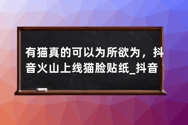 有猫真的可以为所欲为，抖音火山上线猫脸贴纸_抖音上猫的自拍 