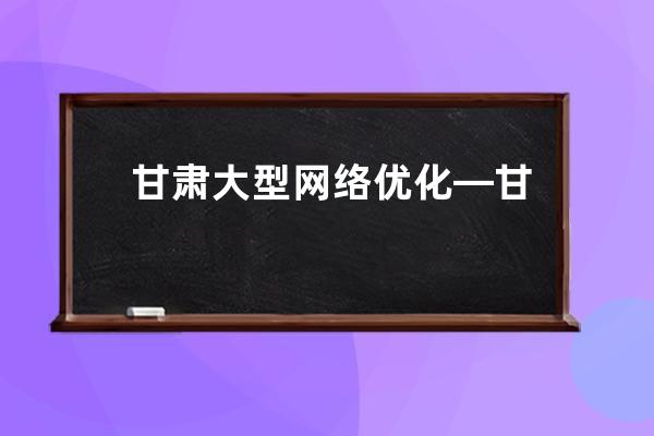 甘肃大型网络优化—甘肃大型网络优化设备厂家