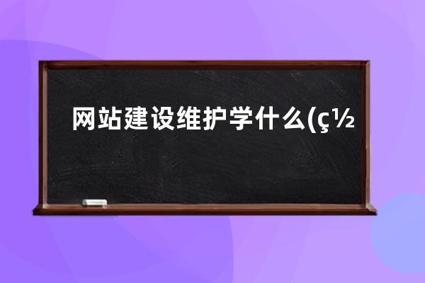 网站建设维护学什么(网站开发与维护的学习重点)