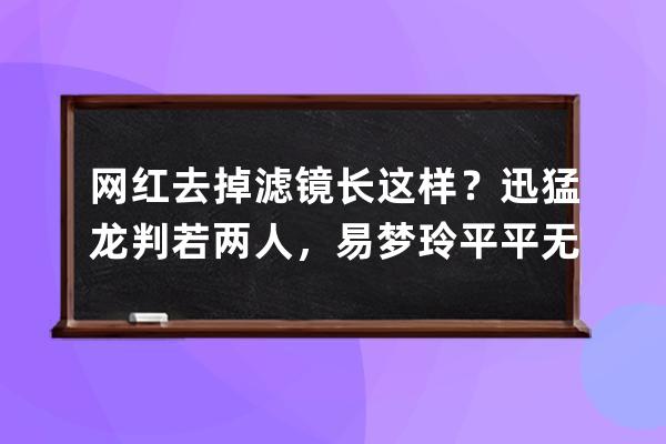 网红去掉滤镜长这样？迅猛龙判若两人，易梦玲平平无奇路人脸？ 