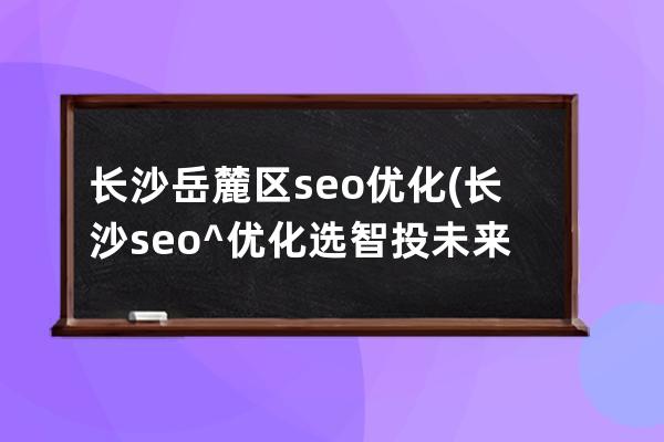 长沙岳麓区seo优化(长沙seo^优化选智投未来no1)