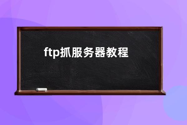 ftp抓服务器教程