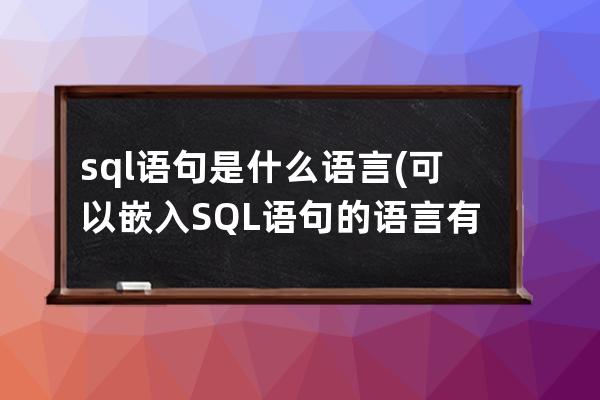 sql语句是什么语言(可以嵌入SQL语句的语言有)